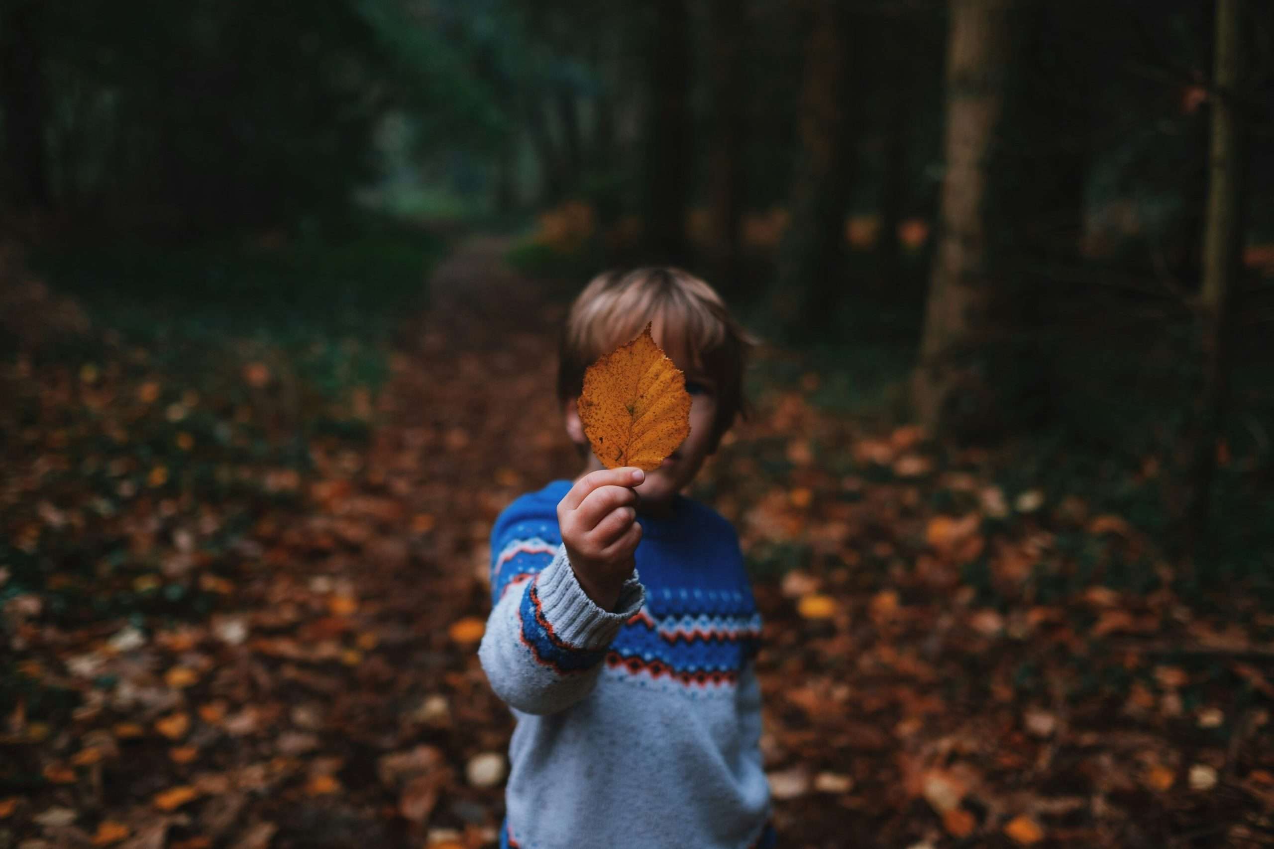HMRC Halts Child Benefit Suspensions After Families Are Wrongly Targeted
