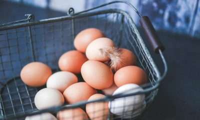 Sainsbury’s to stop selling brown eggs